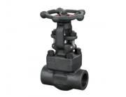 鍛鋼閘閥的顏色為什么通常都是黑色的呢？