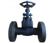 鍛鋼截止閥：堅(jiān)固耐用，提升工業(yè)管路的可靠性